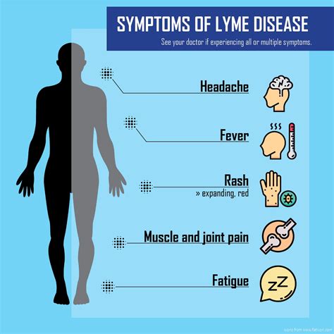 Lyme Disease Mental Health