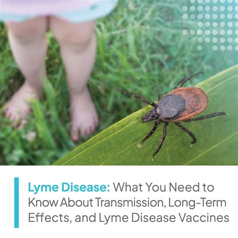 Lyme Disease Research