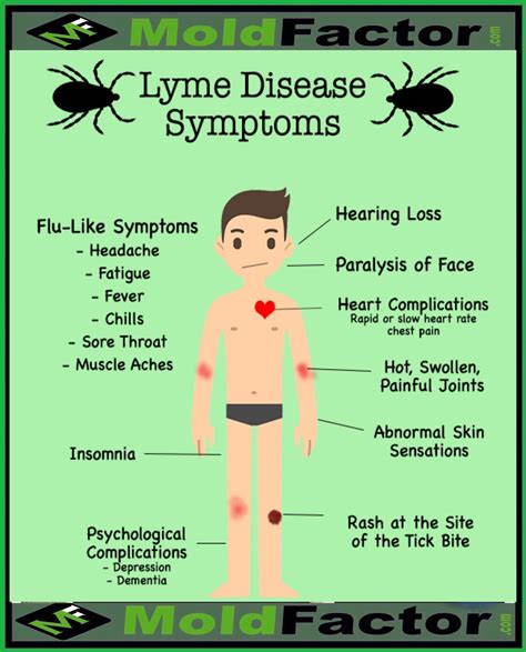 Lyme Disease Symptoms