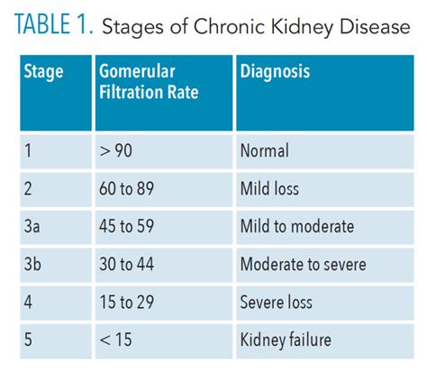 Managing Stage 3 Kidney Failure