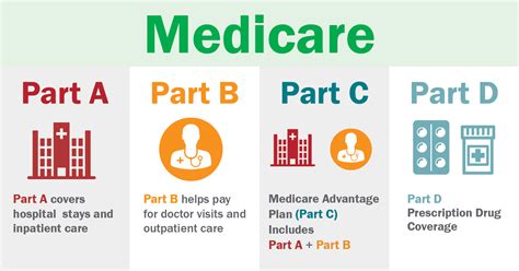 Medicare Plan Options