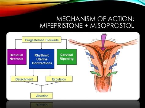 Misoprostol Mechanism of Action