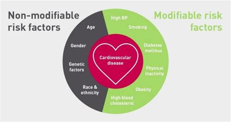 Modifiable Risk Factors and Heart Attack Survival