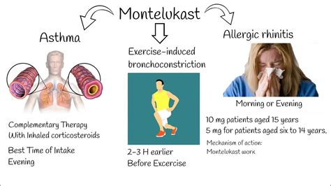 Potential Side Effects and Considerations