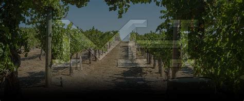 Murrieta Business