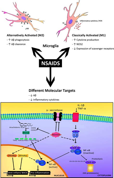 NSAIDs Work