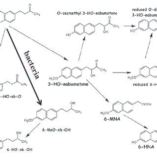 Nabumetone Mechanism of Action