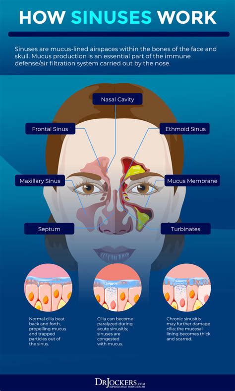 Nasal Congestion Management