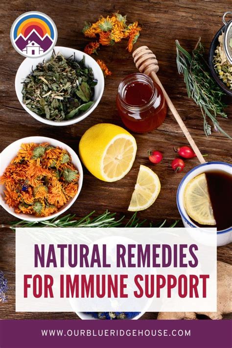 Natural Remedies For Immune System