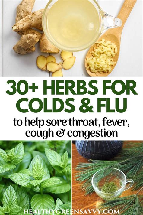 Natural Remedies for Cold Relief