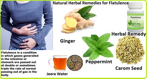 Natural Remedies for Flatulence