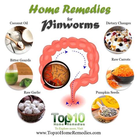 Natural Remedies for Pinworms