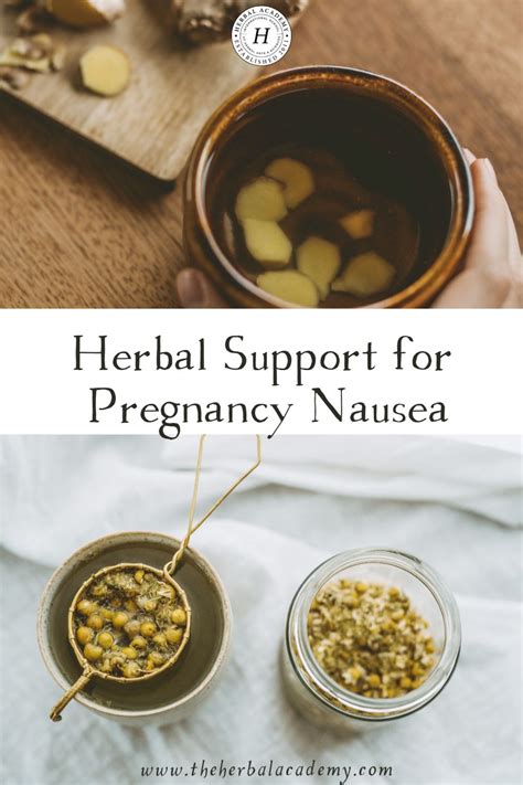 Natural Remedies for Pregnancy Nausea