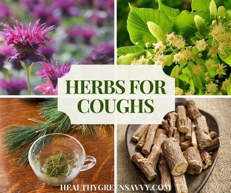 Natural Supplements For Coughing Up Mucus