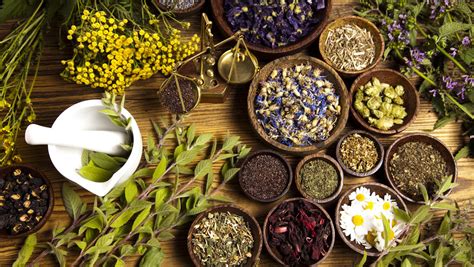 Natural Treatments for Ringworm