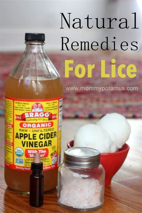 Natural Treatments for Lice
