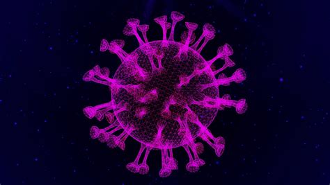 New Coronavirus 2025 Update Overview