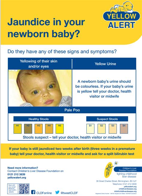 Newborn Jaundice Conclusion