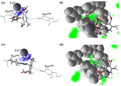 Nifedipine Interactions