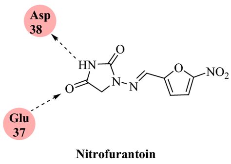 Nitrofurantoin Interactions