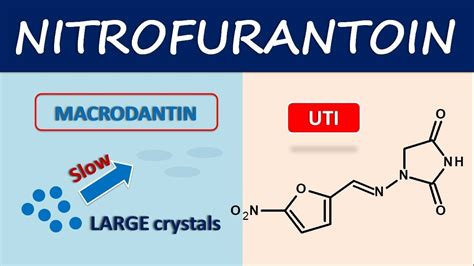 Nitrofurantoin Mechanism
