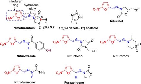 Nitrofurantoin Mechanism of Action