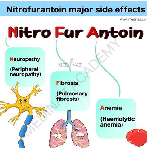 Nitrofurantoin Side Effects and Interactions
