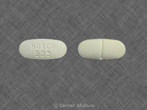 Norco 10mg Composition