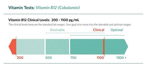 Normal B12 Level Range in Adults