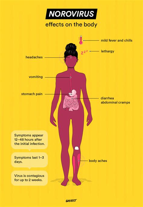 Norovirus Treatment