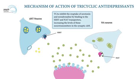 Nortriptyline Withdrawal and Dependence