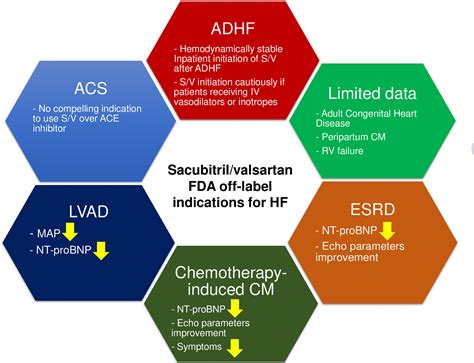 Off-Label Uses of Valsartan