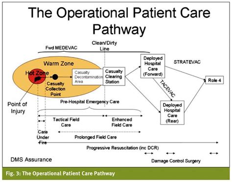 Operational Mechanisms of Lamc Healthcare Services