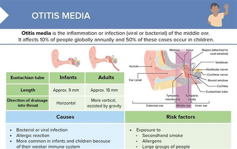Otitis Media Causes