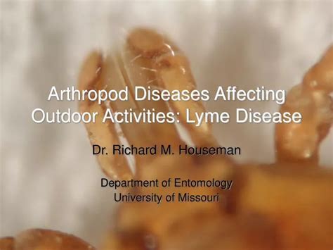 Outdoor Activities and Lyme Disease