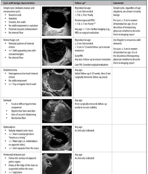 Ovarian Cyst Follow-Up