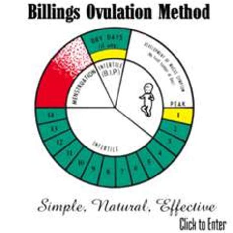 Ovulation Method