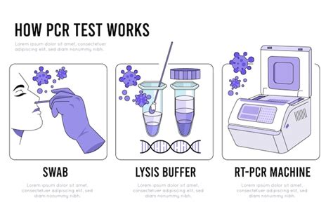 PCR Test