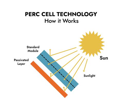 PERC Technology