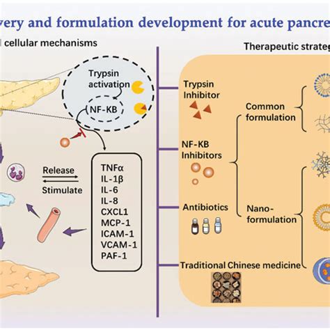 Pancreatitis Supportive Therapy