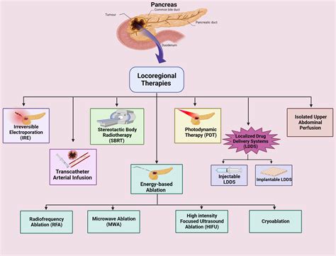 Pancreatitis Supportive Therapy Challenges