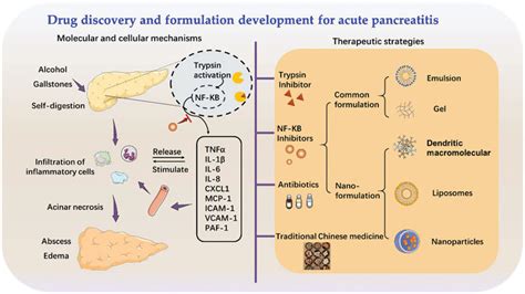 Pancreatitis Supportive Therapy Future