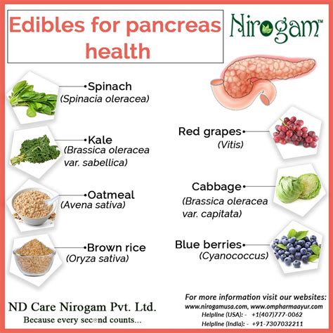 Pancreatitis Supportive Therapy Ways