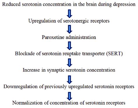 Paroxetine Working Mechanism
