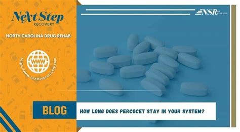 Percocet Next Steps