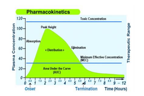 Pharmacokinetics and Pharmacodynamics