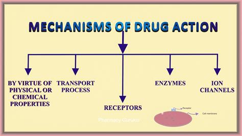 Pharmacology and Mechanism of Action