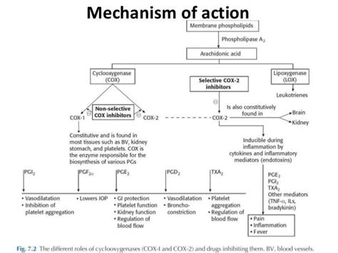 Pharmacology of Ketorolac