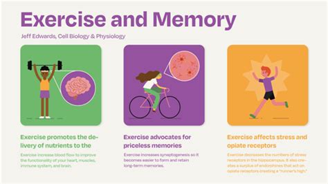 Physical Exercise as a Memory Booster