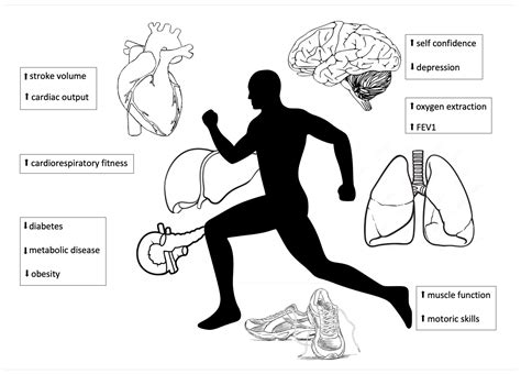 Physiological Effects of Low Blood CO2
